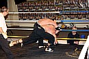 091218_0552_densiz-moser_k1_fight_night_ii.jpg